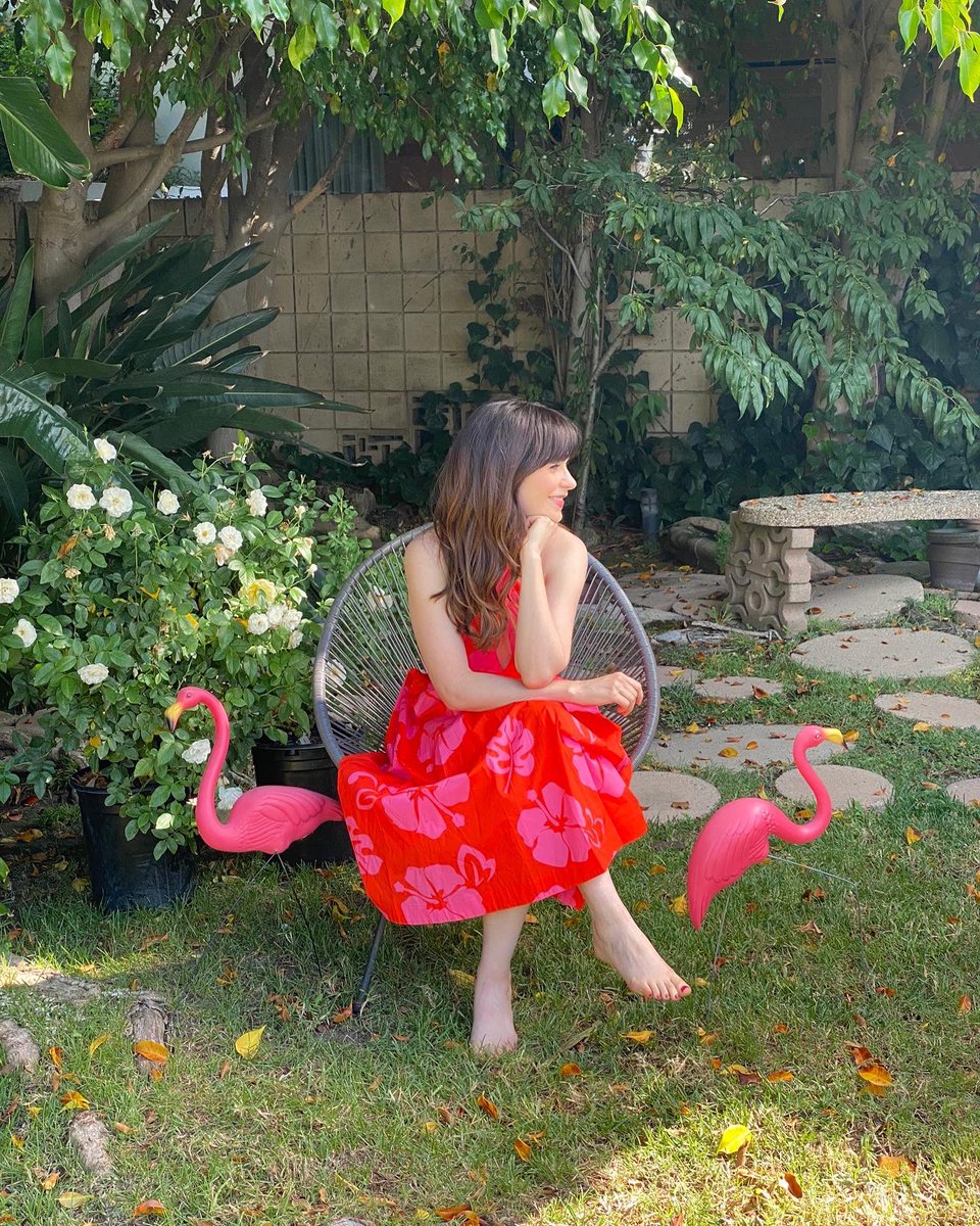 ZooeyDeschanel's tweet photo. Wishing everyone a first-day-of-spring that’s as magical as this one was https://t.co/q8KP7OUYxV