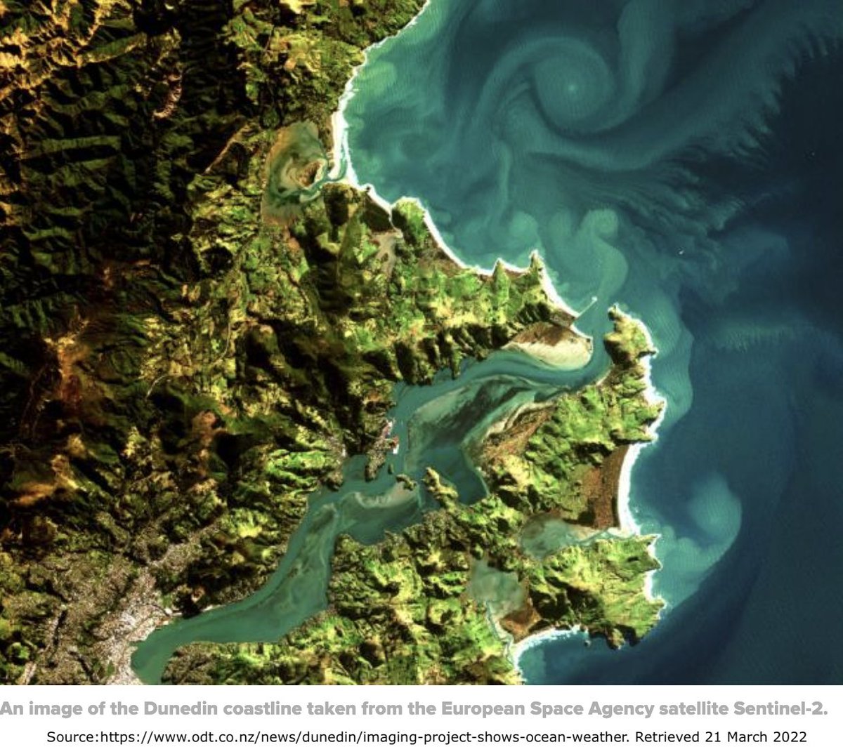 Science Learning Hub (@nzsciencelearn) on Twitter photo Great science & great sci education & communication happens in Otago
bit.ly/3wjx4d1
Enjoy your day off our Otago friends!
#STEMeducation <a href="/OtagoMuseum/">Tūhura Otago Museum</a> <a href="/TayTalksTrees/">Taylor Davies-Colley</a> <a href="/AbbyOtago/">DrAbbySmithOtago</a> <a href="/marinemetre2/">Marine Metre2</a> <a href="/JasoniCL/">📎ChristineJasoni</a> <a href="/SophieFern/">Sophie Fern</a> <a href="/tinkerbel405/">Dr Barbara J Anderson</a> <a href="/AgResearchNEWS/">AgResearch</a> <a href="/MarineOtago/">Marine Science Otago</a> <a href="/OtagoGeology/">Otago Geology</a> Great science & great sci education & communication happens in Otago
bit.ly/3wjx4d1
Enjoy your day off our Otago friends!
#STEMeducation <a href="/OtagoMuseum/">Tūhura Otago Museum</a> <a href="/TayTalksTrees/">Taylor Davies-Colley</a> <a href="/AbbyOtago/">DrAbbySmithOtago</a> <a href="/marinemetre2/">Marine Metre2</a> <a href="/JasoniCL/">📎ChristineJasoni</a> <a href="/SophieFern/">Sophie Fern</a> <a href="/tinkerbel405/">Dr Barbara J Anderson</a> <a href="/AgResearchNEWS/">AgResearch</a> <a href="/MarineOtago/">Marine Science Otago</a> <a href="/OtagoGeology/">Otago Geology</a>