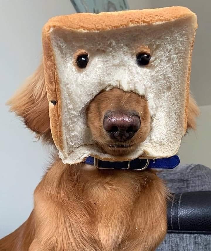 Un pan de dios!!