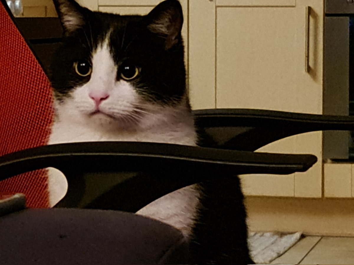 uosuıʞןıʍ ןıɥd tweet media