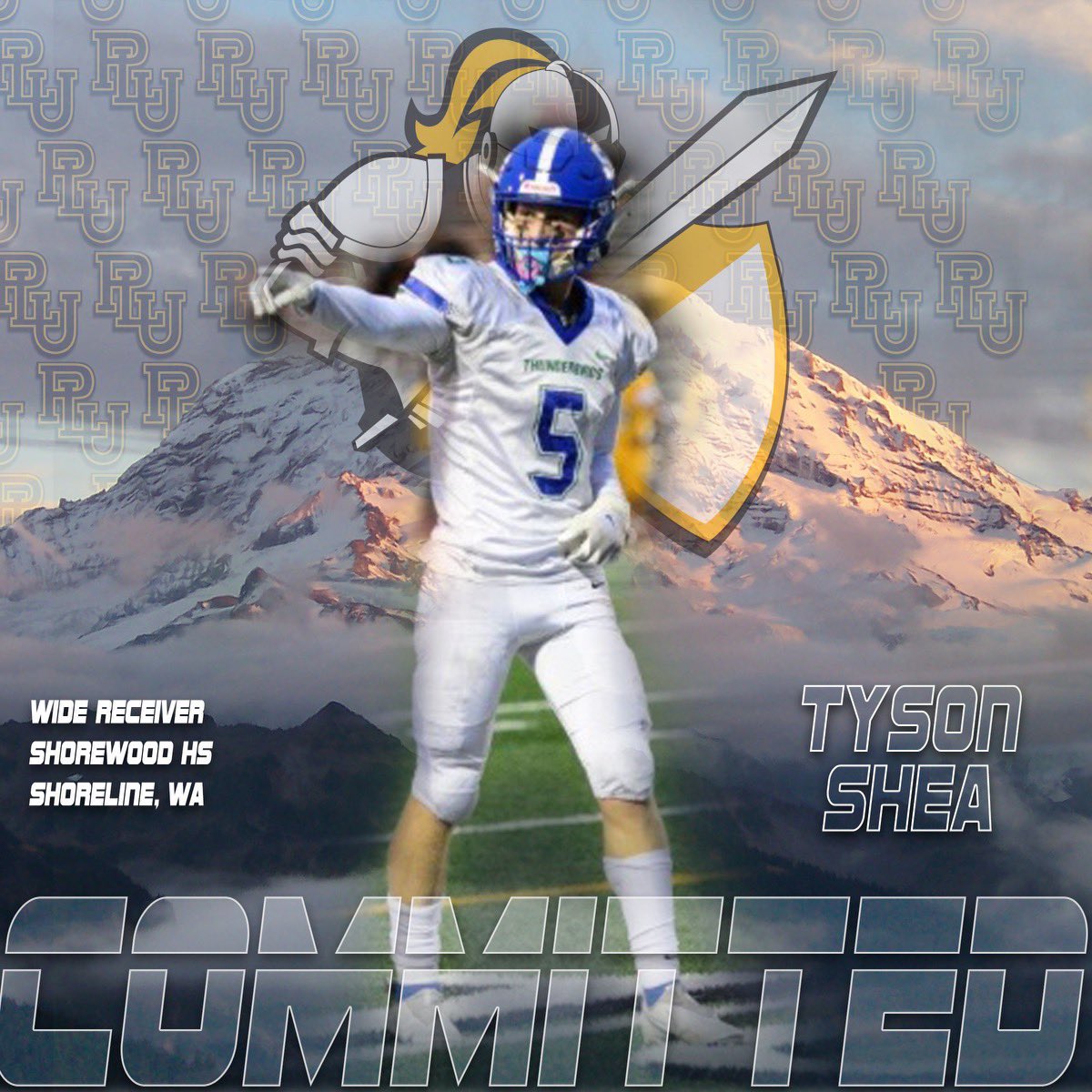 Tyson Shea tweet media