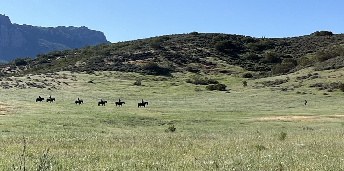 Mirdear1's tweet photo. Olympia Farms Trail today, that makes three.
#coschallenge https://t.co/f0uKfPEvRH