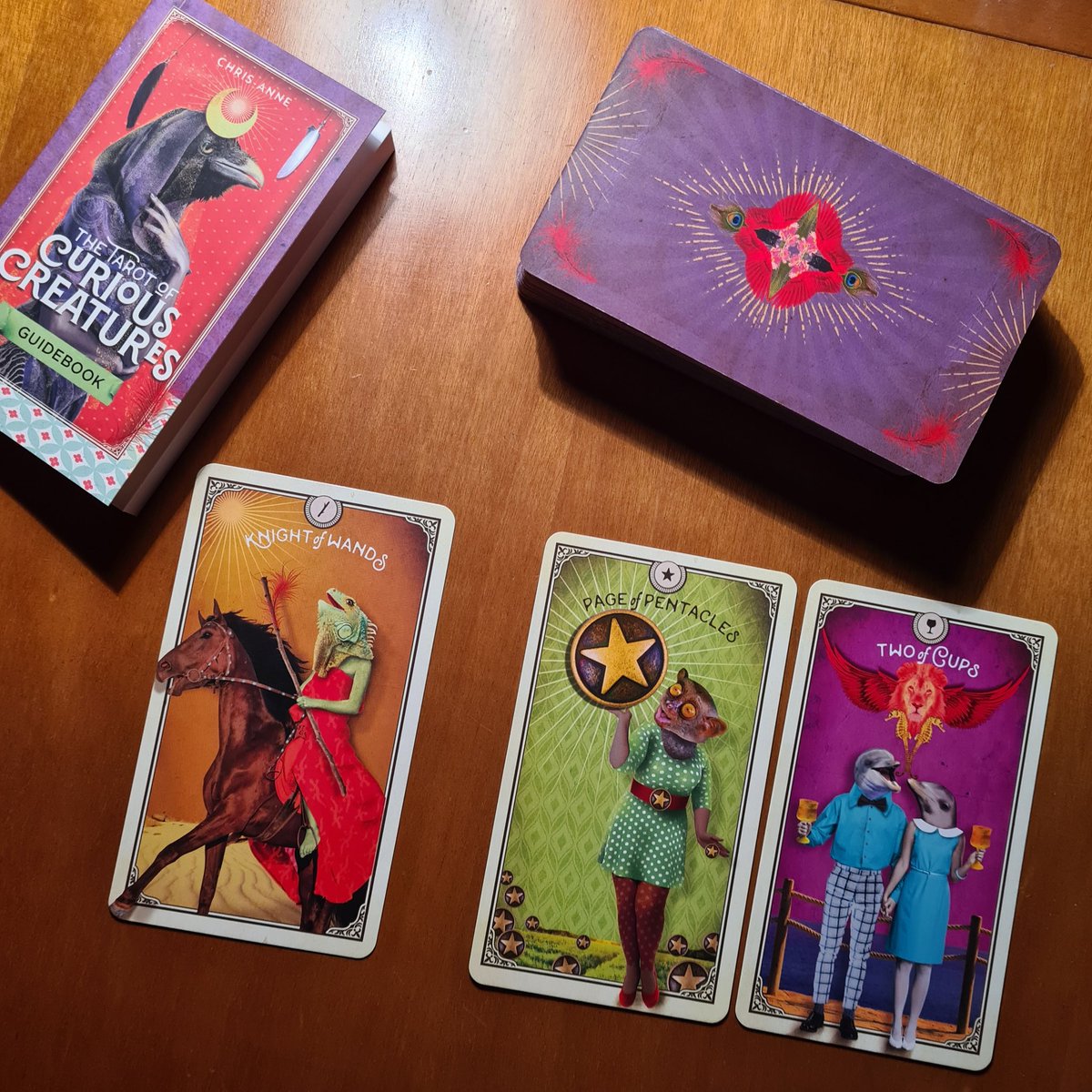 YsabelTarot's tweet photo. Y cuando llego a casa, un ratito de tarot y meditación  ☺️🕉💜 https://t.co/uiTdOZu29H