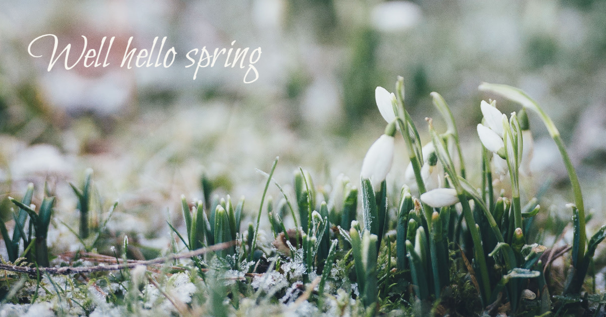 WhiskeyPorch's tweet photo. Spring Equinox greeting to you my friends!  #nordic #seasonal #artful #sustainable #livingwiththeseasons #spring #springequinox https://t.co/EwB1SvY1aa