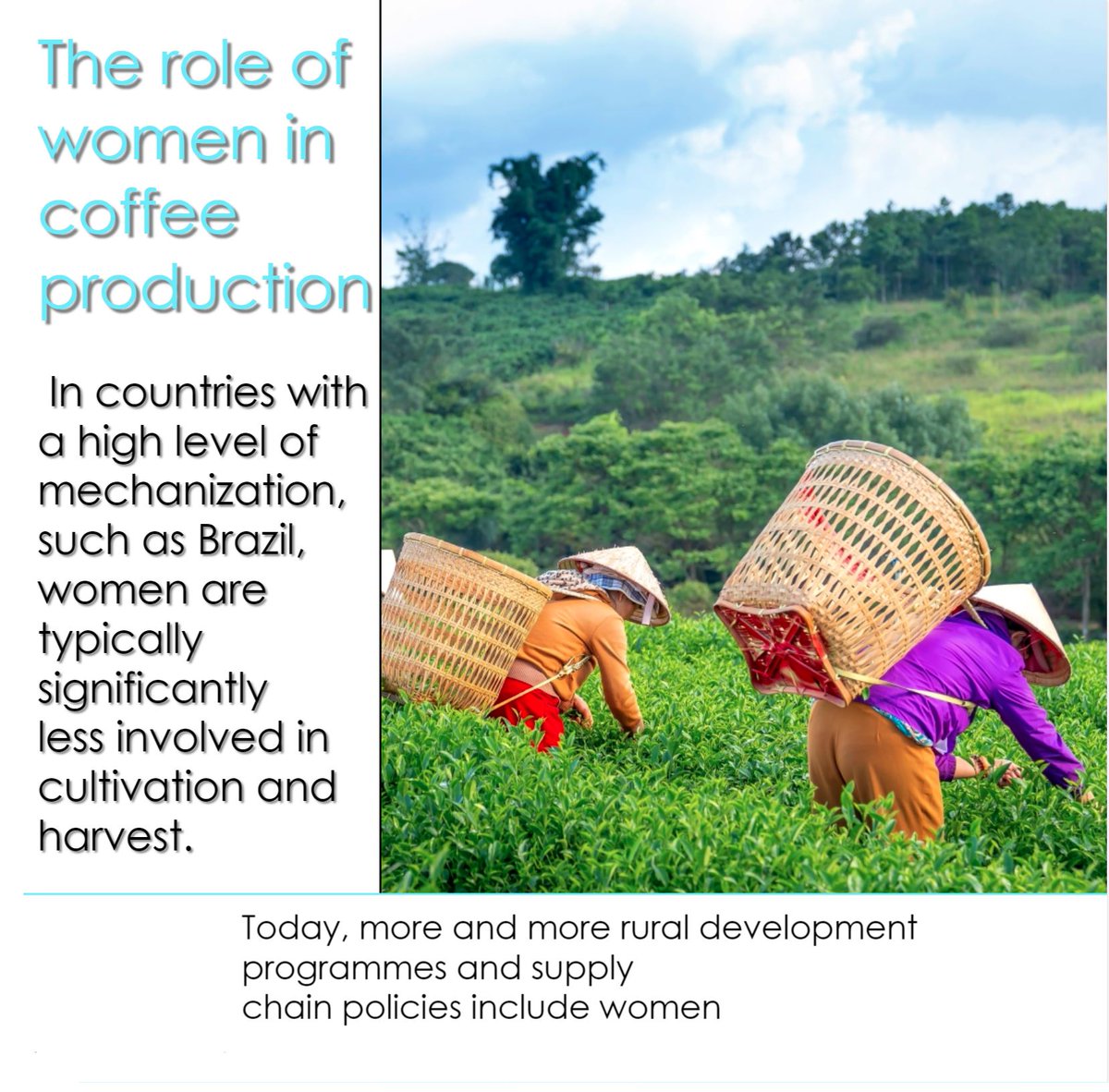 CoffeeSnob_'s tweet photo. understand the roles gender plays a part off
@Unionroasted  #HeForShe and #NoCeiling #equality #pride #feminism #WomensHistoryMonth @UN_Women 
@GlobalCompact https://t.co/QG3lnR44kV