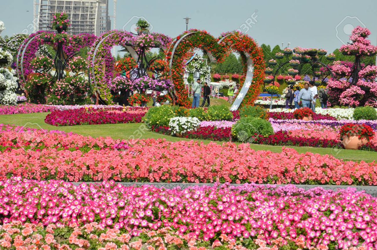 NazNews3's tweet photo. Le Jardin Miracle est un grand jardin fleuri situé à Dubaï. Lancé en 2013, ce joyau occupe plus de 72 000 mètres carrés avec plus de 250 millions de plantes. Il n'y a pas comme lui dans le monde. https://t.co/BCxY9qUeV9