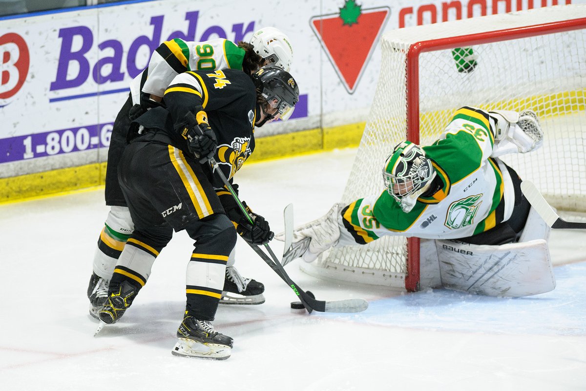 Metcalfe Photography tweet media