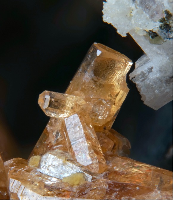Joel Brugger (@joelbrugger) on Twitter photo Thanks so much to Mischa Crumbach for providing a wonderful picture of a rare earth element mineral from the Alps to illustrate our Conversation paper on the formation of REE deposits! Collectors are real heroes! <a href="/scimissionowen/">Owen Missen</a> <a href="/MonashEAE/">Monash Earth, Atmosphere and Environment 🌏🌪️🍃</a> Thanks so much to Mischa Crumbach for providing a wonderful picture of a rare earth element mineral from the Alps to illustrate our Conversation paper on the formation of REE deposits! Collectors are real heroes! <a href="/scimissionowen/">Owen Missen</a> <a href="/MonashEAE/">Monash Earth, Atmosphere and Environment 🌏🌪️🍃</a>