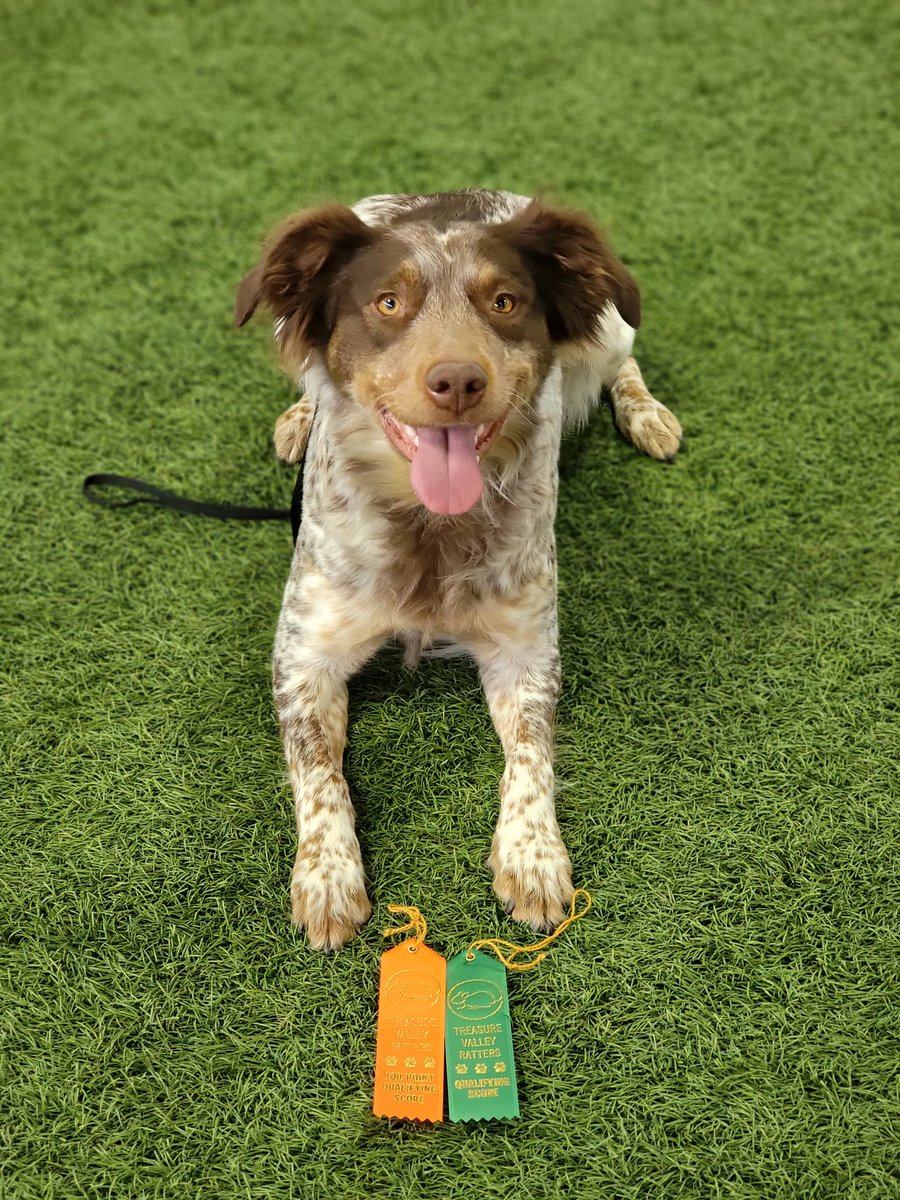 Groot & Riley tweet media