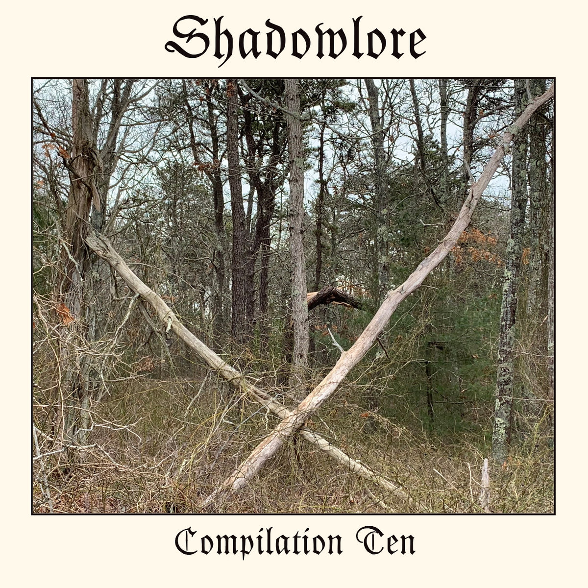 Calignosia's tweet photo. Calignosia unreleased track "Gallaecia suevorum regnum" on Shadowlore Dungeon Synth Compilation 10
https://t.co/HyGWwRswMP #Calignosia #darkambientmusic #dungeonsynth #fantasy #shadowlore #medieval https://t.co/Hqqq8597nt