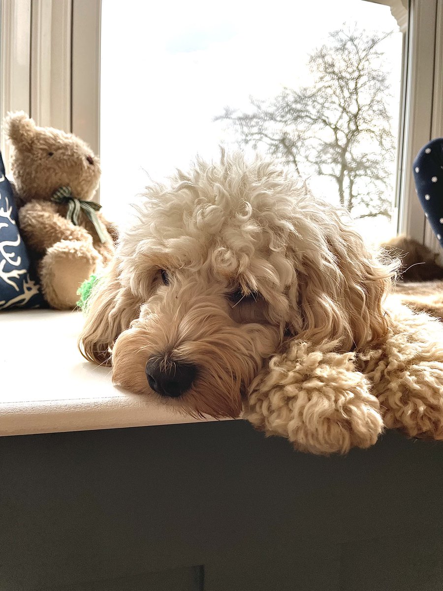 It’s been a tiring day.