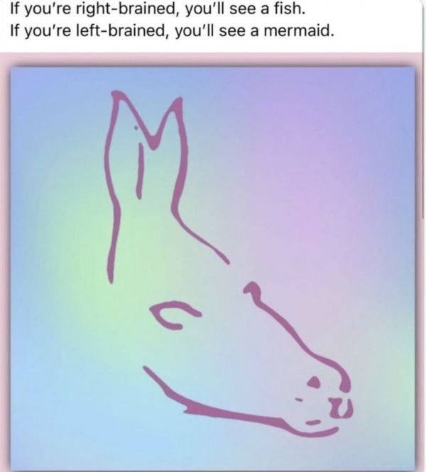 إياد الحمود tweet media