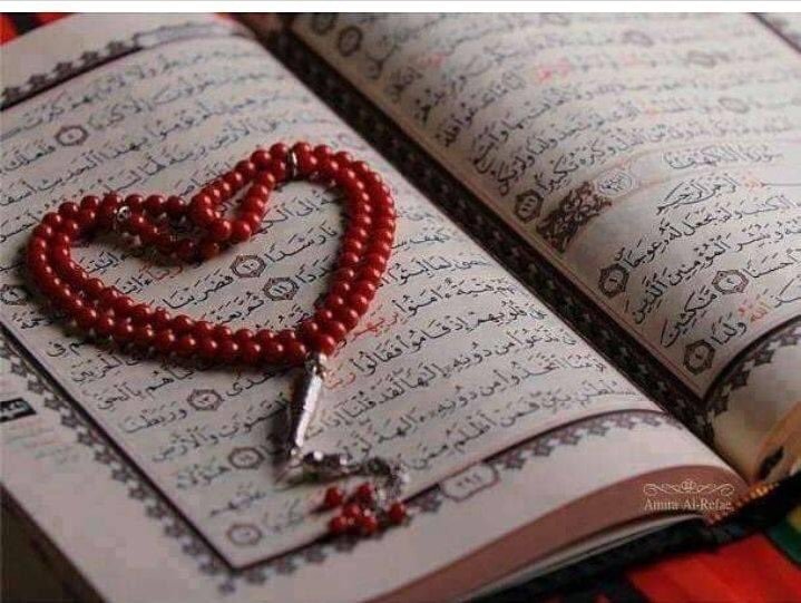 রোজ কিয়ামতে হাত, পা, কান, চক্ষু এবং চামড়া মানুষের বিরুদ্ধে সাক্ষ্য দিবে । 

--সূরা নুর ২৪