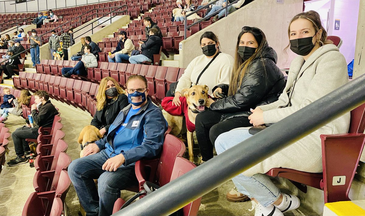 RudyCuzzetto's tweet photo. The Mississauga @OHLSteelheads have the lead here at the 4th annual Pucks N Paws game at @PFFCentre. Thanks to sponsor @RENSPETS, and to everyone who joined us today, including @autismds, @lionsclubs, @Park_AnimalHosp, and the #IAmHear Foundation. #MississaugaLakeshore 🥅🐕🏒🐟🇨🇦 https://t.co/8y8RbZPUg3