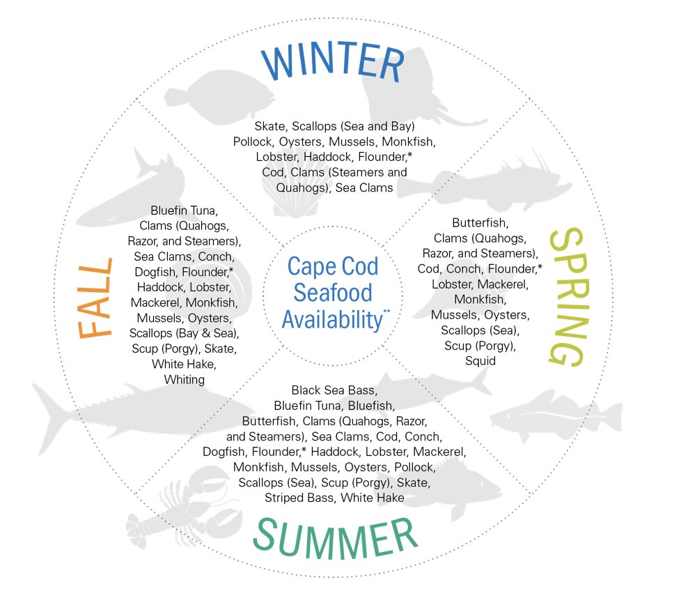 Happy first day of spring! Many great seafood options come into season in the spring on Cape Cod! Save this chart to refer to next time you're at the market so you know which seafood option is the most fresh and local.
#fishalliance #capecod #seafood #spring
