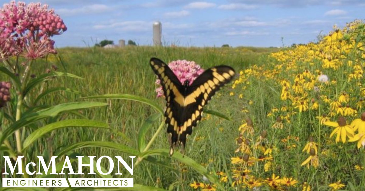 This picture sure looks nice as we work our way through the dead of winter. Did you know that our team is focused on making project decisions that will contribute to a healthier and more sustainable future? Read about our environment and ecology offerings: mcmgrp.com/what-we-do/env…