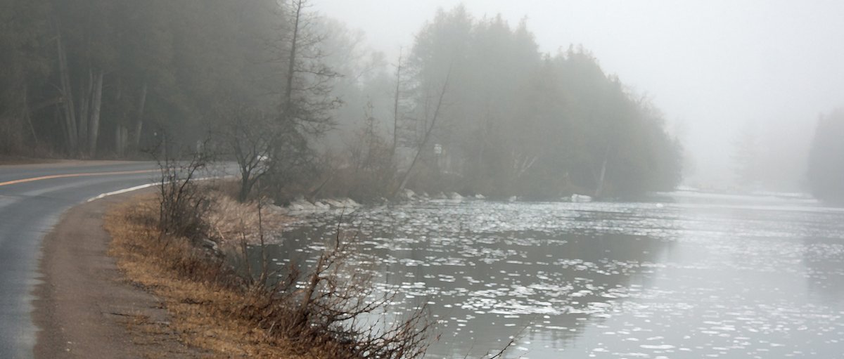 AlienNextDoor's tweet photo. I drive a #Kawartha road along the #Otonabee #River steaming with the mists of #spring readying for the #Equinox #NaturePhotography #photography #SpringEquinox https://t.co/WCg8ecTAFI