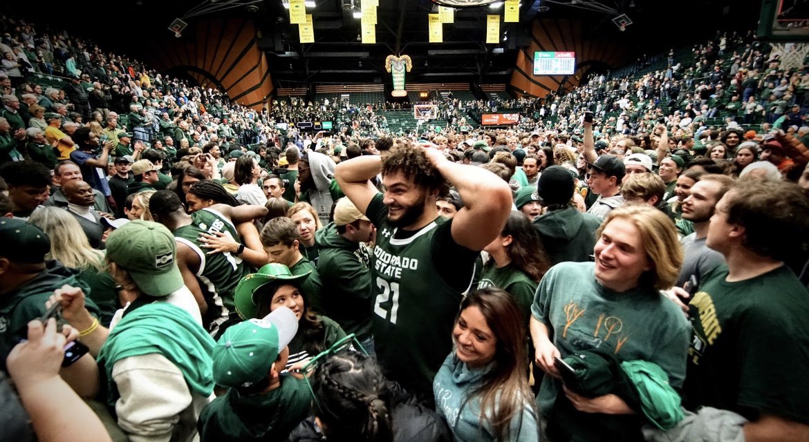 Ali Farokhmanesh tweet media