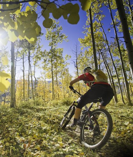 nwfire_velo's tweet photo. Happy First Day of Spring - Time to bicycle outdoor.
“Some old-fashioned things like fresh air and sunshine are hard to beat.” — Laura Ingalls Wilder
#nwfirevelo #ffcycling #firstresponders #ffcancer #ffmtbiking #pnw #ffroadbiking https://t.co/oqY8ysZ3L0