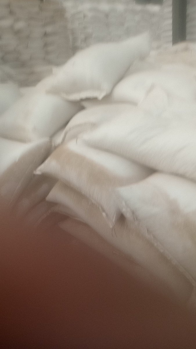 benjamin_export's tweet image. 