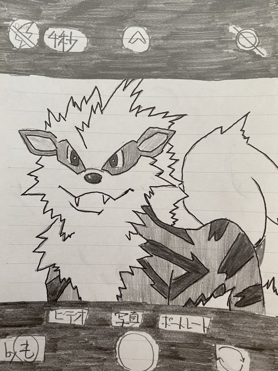 でんせつポケモン ウィンディ 伝説じゃない みたいなやつ