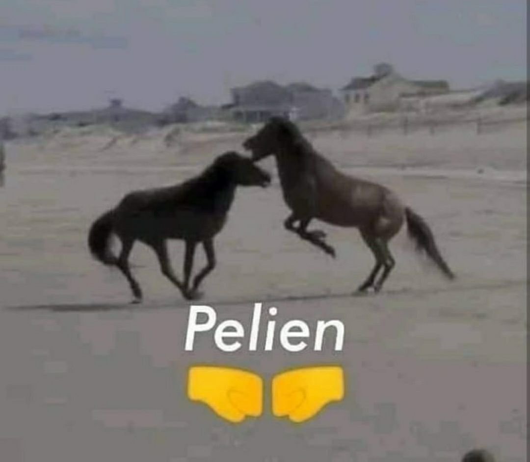 solitaneon's tweet photo. se acabó la temporada piscis / empieza la temporada aries https://t.co/iRHZTMH1cL