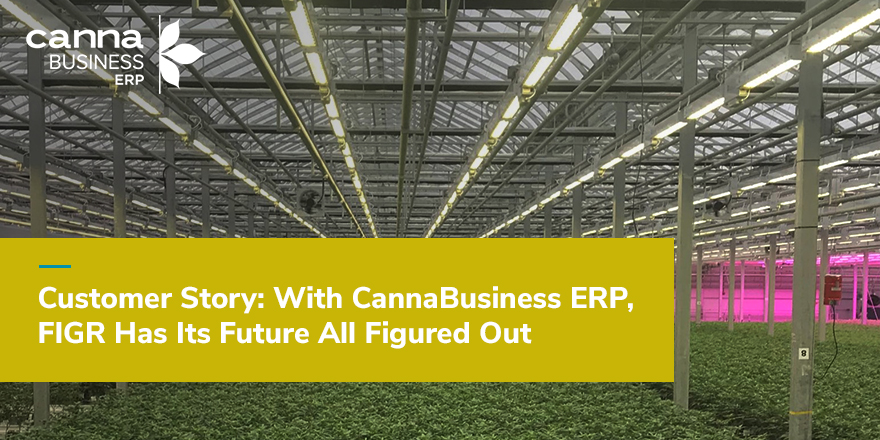NCIAorg's tweet photo. When you meld 5 generations, 150 years of farming instinct and innovation, you get FIGR. All FIGR needed was the right business solution to help accelerate growth. To learn more, check out this case study from @cannabiserp: https://t.co/2oQnCxDniQ #cannabisindustry #MemberMessage https://t.co/LPnpINjOwB