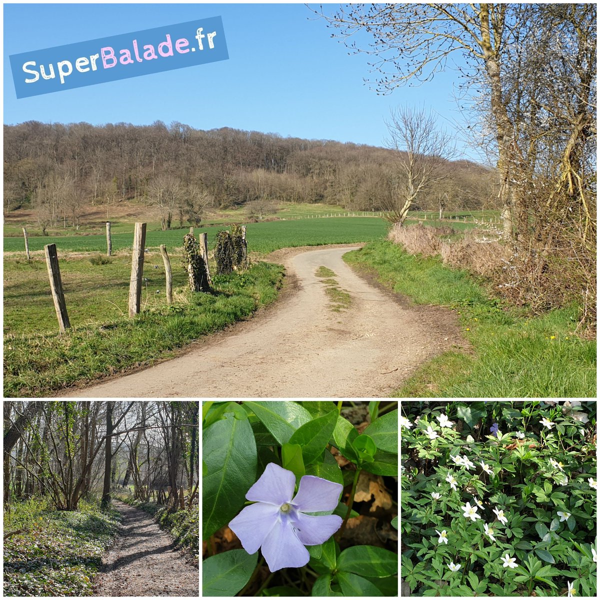 SuperBalade's tweet photo. Week-end de printemps à #MargnySurMatz. #SuperBalade au rendez-vous !
https://t.co/1cEBkJes4b #belleoise #oise #hautsdefrance #HautetFort https://t.co/fTcg7xHhN4