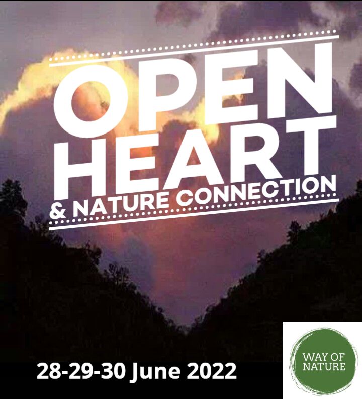 way_nature's tweet photo. Unieke kans - https://t.co/xKzFY0Dk0p
3 dagen Way of Nature Programma met John P. Milton
Open Heart &amp; Nature Connection. 28-30 juni 2022. Info &amp; aanmelding: https://t.co/kljUVE9t0B / info@wayofnature.nl https://t.co/EHagB4xg3h