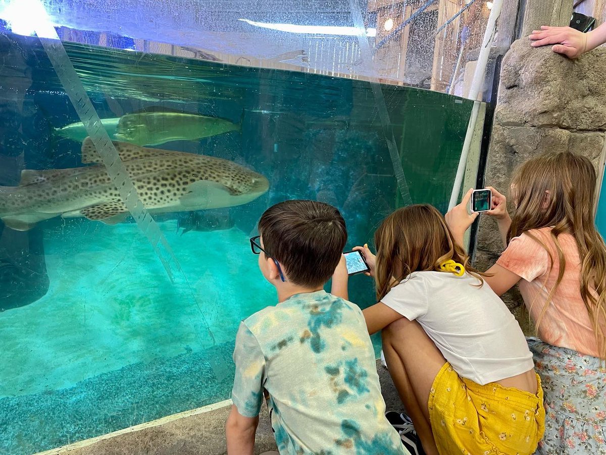 It’s the first day of Spring and <a href="/fairpark/">fairpark</a> is full of people enjoying this beautiful weather! Make sure to bring your kids out to walk around the fair grounds and stop by the <a href="/KidsAquarium/">Children's Aquarium Dallas at Fair Park</a> for your next family outing. #DallasIsForFamilies #D7