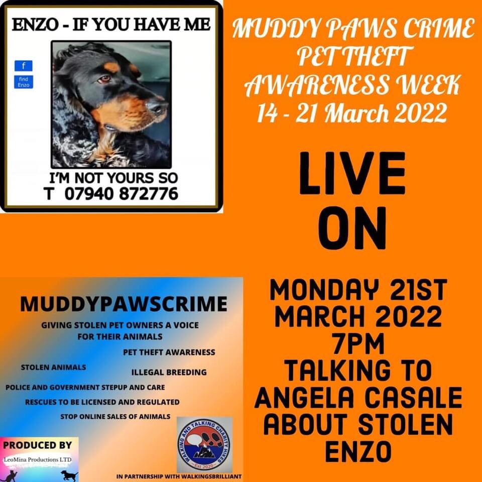KarenFi51820768's tweet photo. #PetTheftAwarenessWeek Facebook Lives Schedule for 21St March 2022
🛑MONDAY
5PM - LISA O’CONNOR - Missing/Stolen Animals Ireland
6PM -PAULA APPELBY - Stolen/Missing DOG ISLA
7PM - ANGELA CASALE - Stolen dog ENZO
#FindEnzo #FindIsla
https://t.co/SLdIzvfI8b https://t.co/tf5LKtueqs