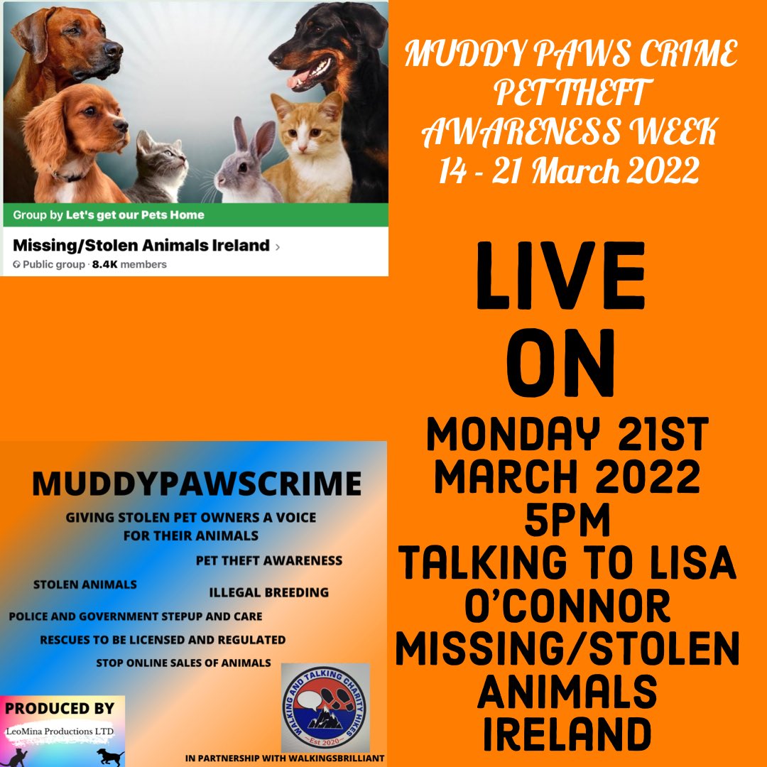 KarenFi51820768's tweet photo. #PetTheftAwarenessWeek Facebook Lives Schedule for 21St March 2022
🛑MONDAY
5PM - LISA O’CONNOR - Missing/Stolen Animals Ireland
6PM -PAULA APPELBY - Stolen/Missing DOG ISLA
7PM - ANGELA CASALE - Stolen dog ENZO
#FindEnzo #FindIsla
https://t.co/SLdIzvfI8b https://t.co/tf5LKtueqs