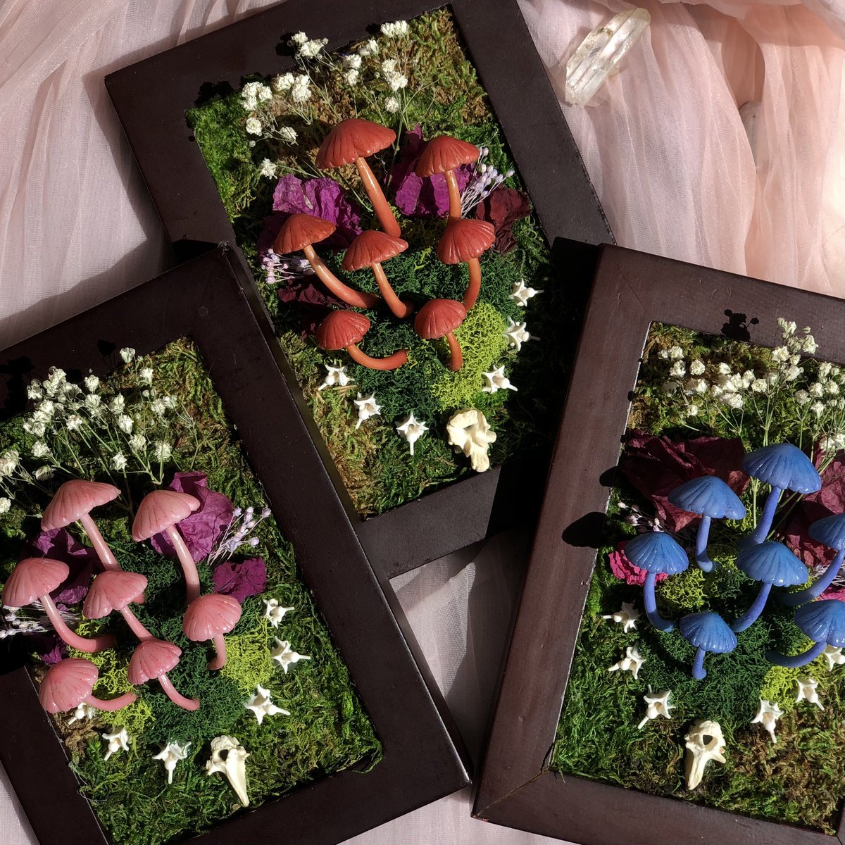 botanicaglow's tweet photo. Mushroom frames just dropped💜 there’s 6 listed in all different colors✨ https://t.co/3fFZAZeoka https://t.co/DARtYueKYJ