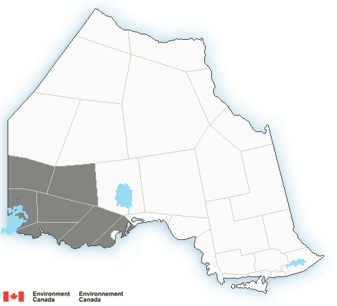 511Ontario's tweet photo. Public Weather Alerts for Ontario North. Significant snowfall possible Monday night through Tuesday night with accumulations of 10-15 cm. However, up to 20 cm of snow is possible. Drive safe. #ONStorm https://t.co/7ugjH5pUra https://t.co/ay8wWjqkD9