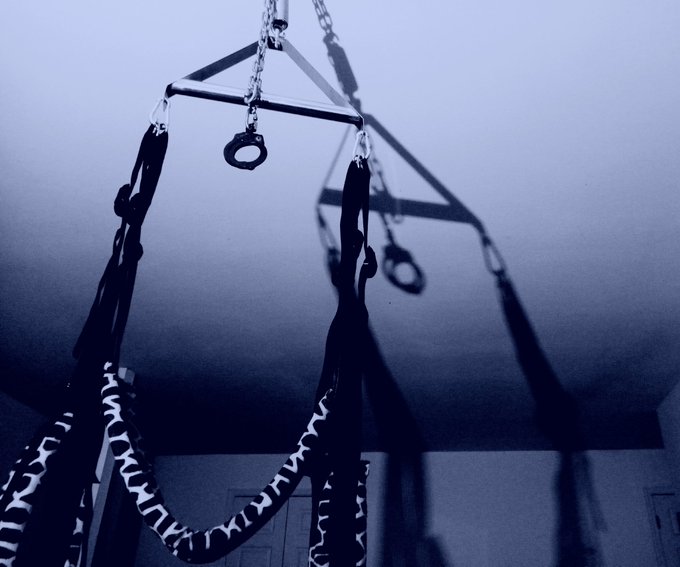 Feeling feisty? #fuckafollower https://t.co/LGkEEKNNRJ<a href="/tag/fuckafollower"class="tags">#fuckafollower</a>