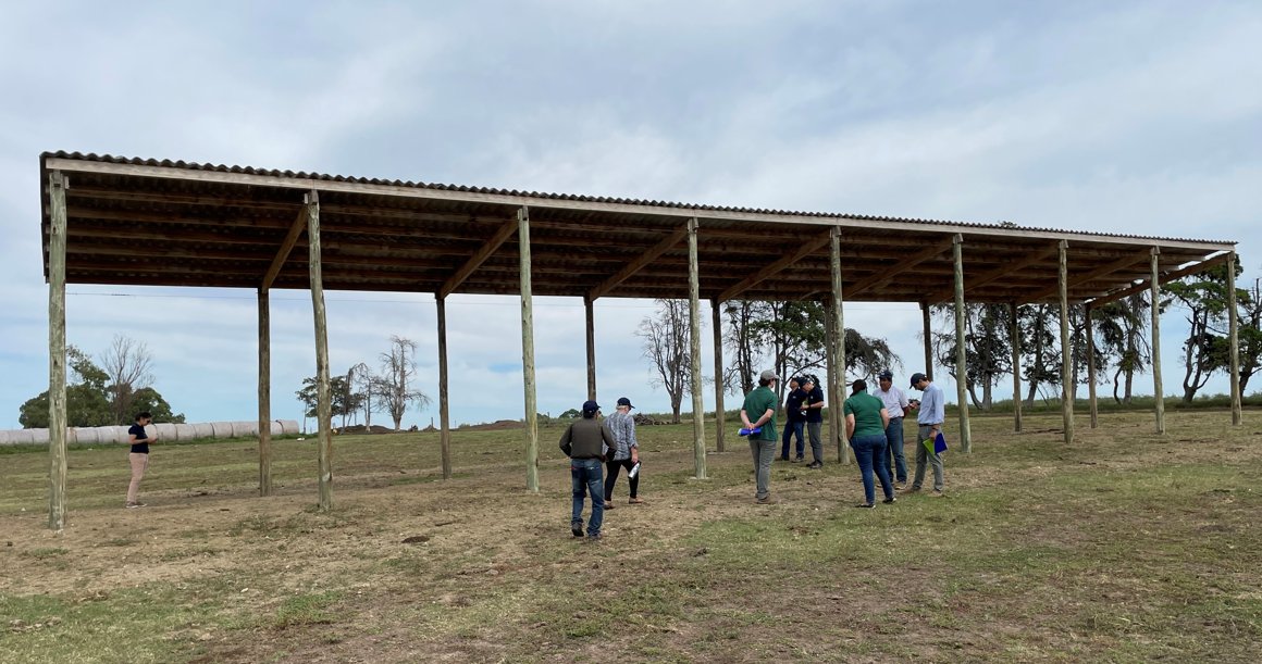 rulolamanna's tweet photo. Acompañando el cierre de proyecto de ANDE de Valorización de residuos postindustriales como insumo para bienestar animal. Usando nylon y otros para hacer placas para sombra a vacas próx. Acceso a sombra a prox da casi un litro más x día en la lactancia sig. Ganar-ganar reciclando https://t.co/wMNdezLN0o