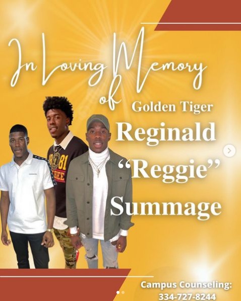 Tuskegee Athletics tweet media