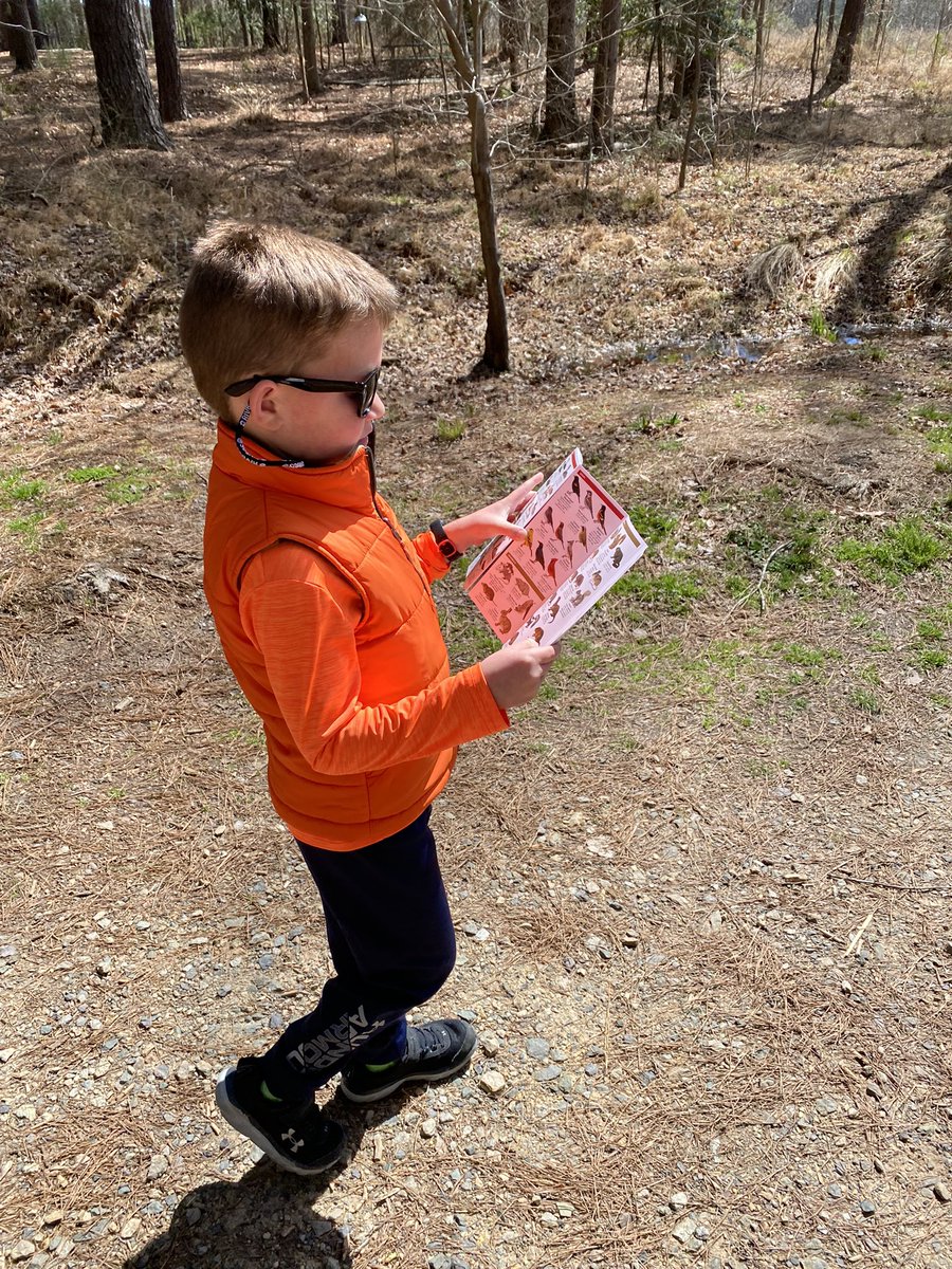 beesleyhh's tweet photo. Looking for birds at Harris Lake Park 🐦🌲 🐟 https://t.co/js6ogcfySi