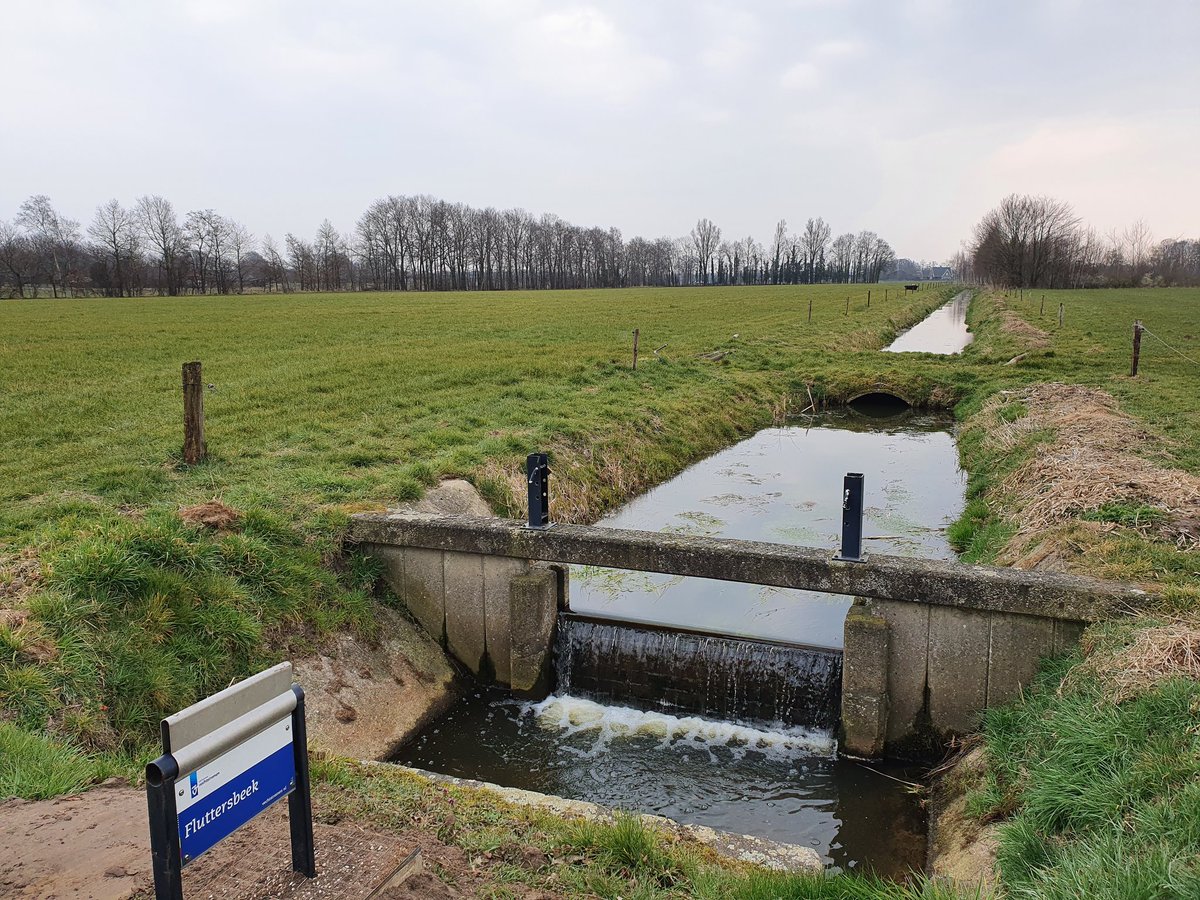 HeleenLansink's tweet photo. Het water proberen we nu alvast maar weer zo veel mogelijk vast te houden.

#hogezandgronden #Twente #fluttersbeek https://t.co/jE6lIbsQQa