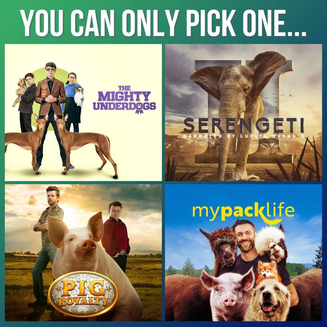 discoveryplus's tweet photo. Hey animal lovers, if you could only watch one show which would it be?! Let us know with the show's emoji.
🦮 - #TheMightyUnderdogs
🐘 - #SerengetiII
🐖 - #PigRoyalty
🦙 - #MyPackLife https://t.co/qzb98Dq0Pu