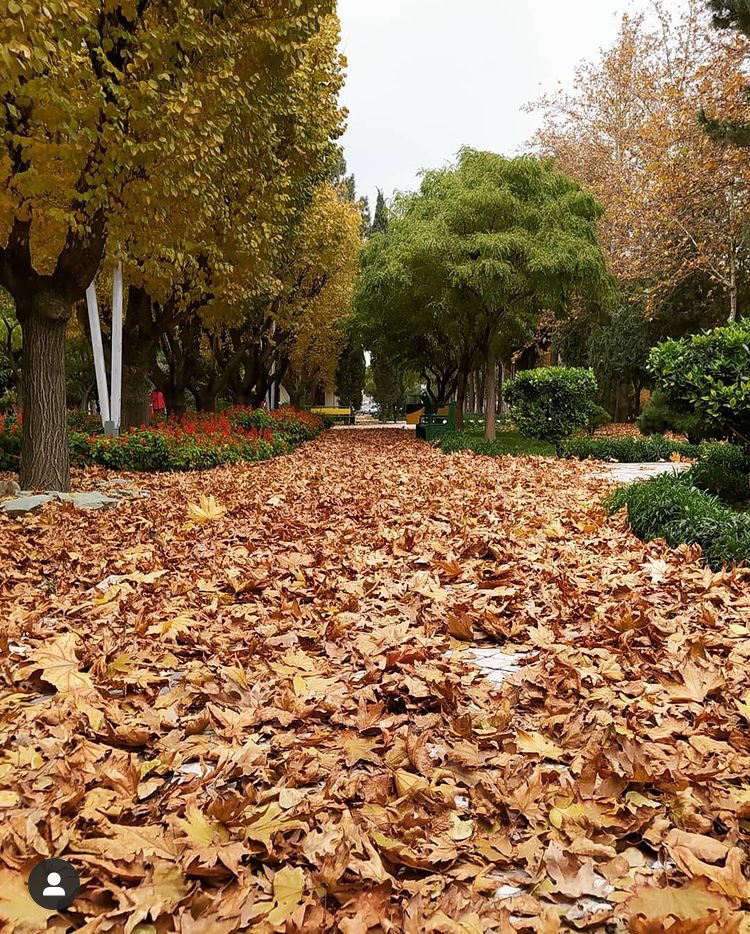 Tarbiat Modares University🏢 tweet media