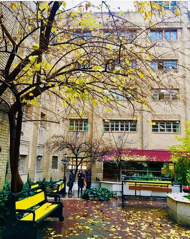 Tarbiat Modares University🏢 tweet media