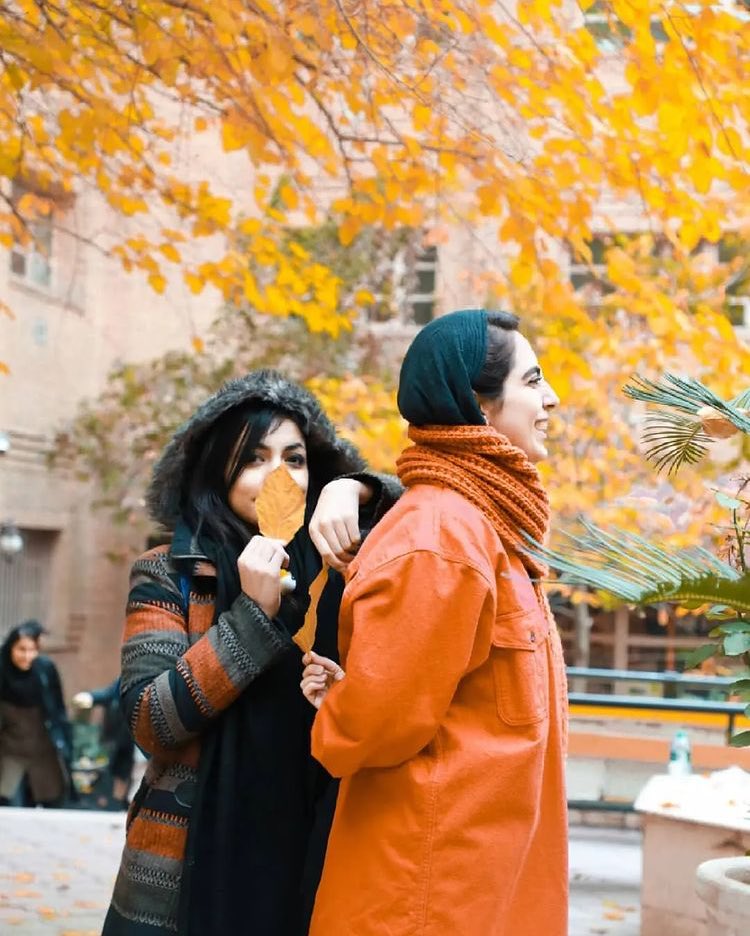 Tarbiat Modares University🏢 tweet media