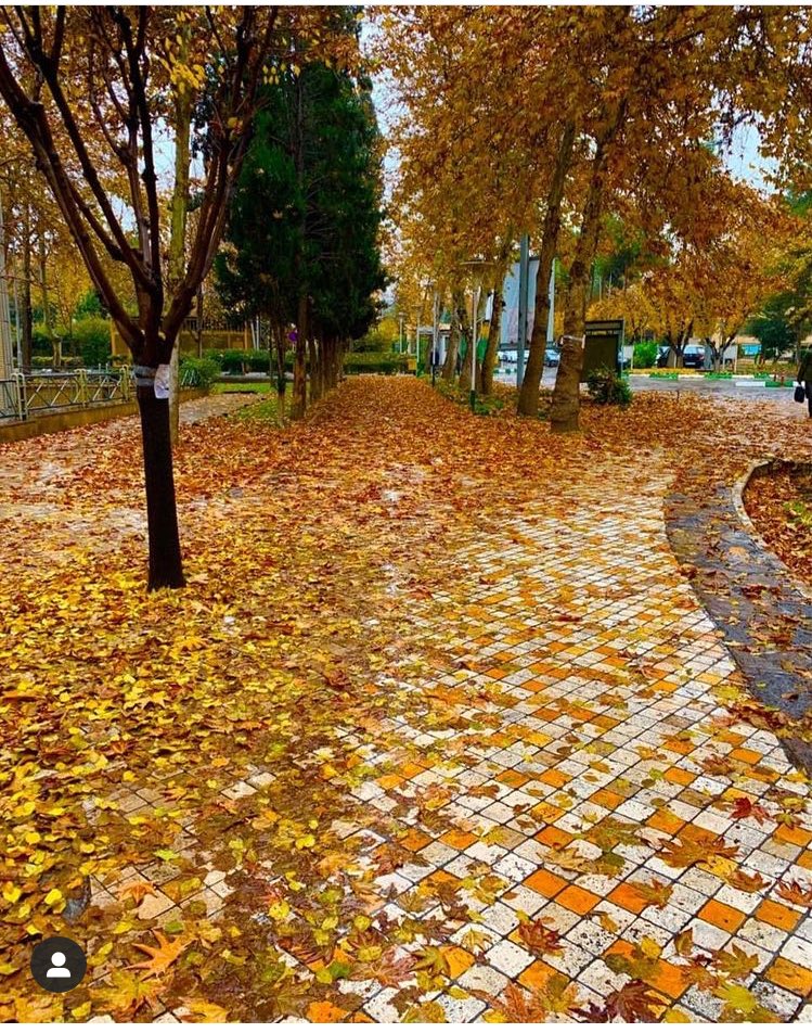 Tarbiat Modares University🏢 tweet media