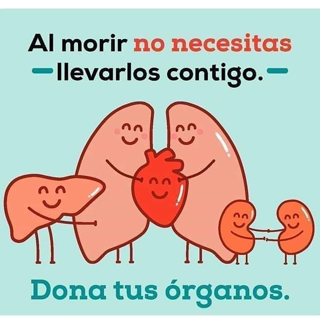 Salud_en_casa1's tweet photo. El 76% de peruanos ha dicho "no" a la donación de órganos en su DNI.

INCOR destaca la necesidad de impulsar campañas de sensibilización para incrementar donantes

https://t.co/wDV4Pv1QGv https://t.co/8Fuvc4MwPL