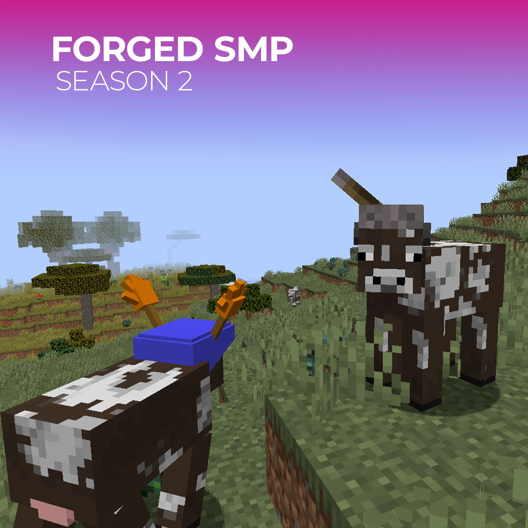 Forged SMP (@Forged_SMP) / Posts / X