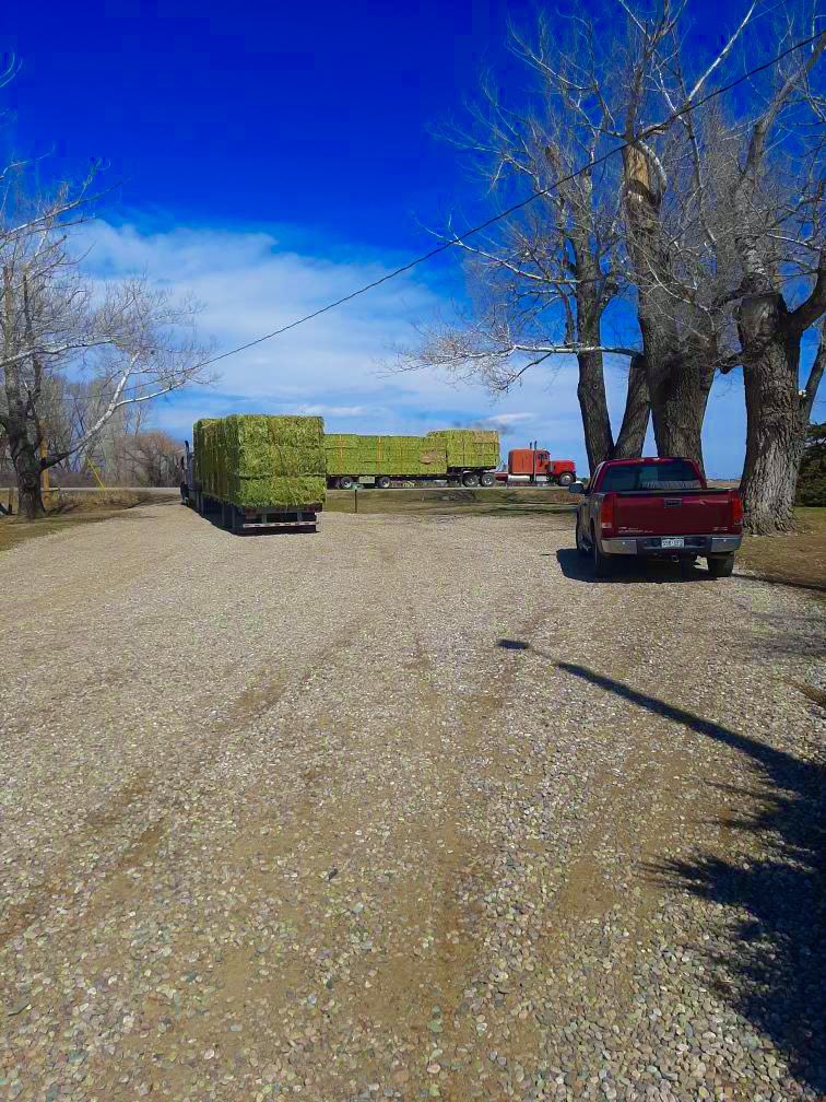 Looks good heading out of the yard!