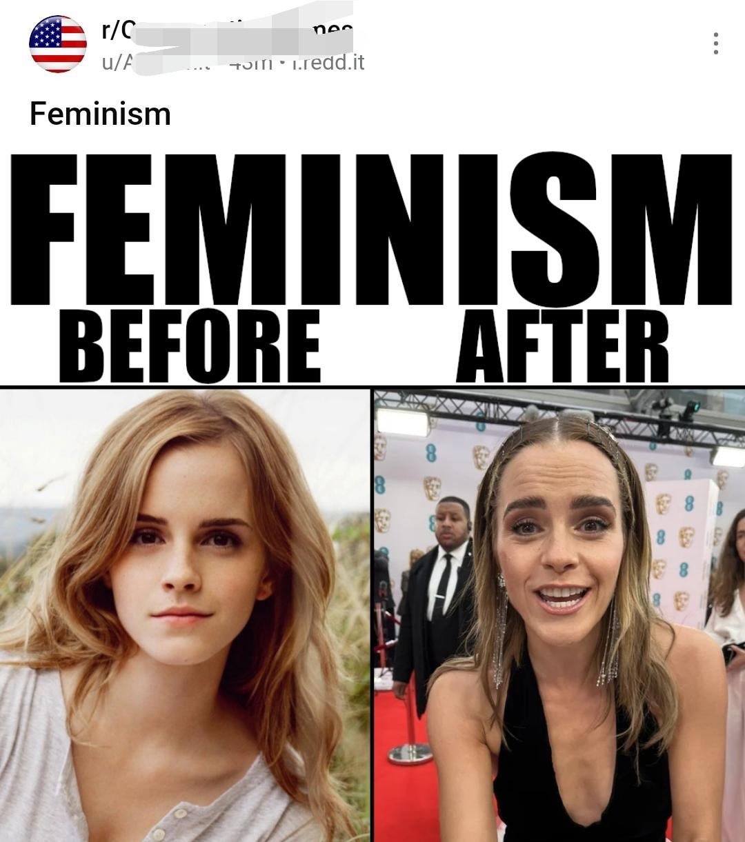 the-right-can-t-meme-on-twitter-feminism-is-when-you-re-no-longer-a