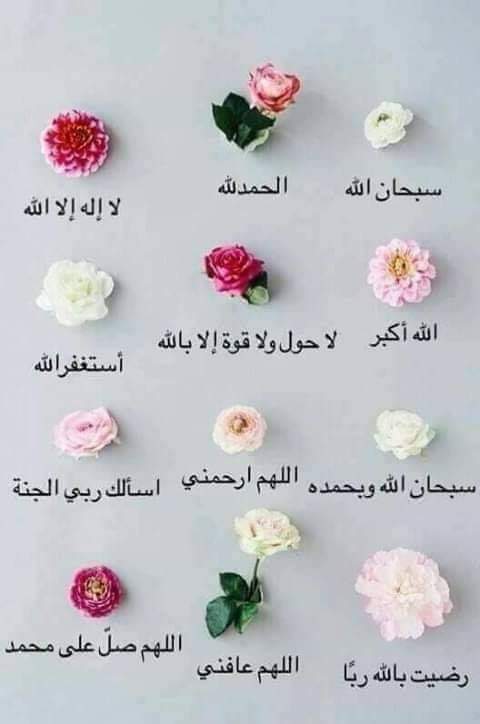 SAFA78548934's tweet photo. أما #قيام_الليل :فهو شامل ومتنوع وقد يكون بالصلاة، أو بالذكر، أو بالدعاء، أو بالاستغفار أو بقراءة القرآن، وغير ذلك من اشكال العبادات في أي ساعة من ساعات الليل. وبذلك يدخل التهجد والوتر ضمن صور  قيام الليل.وهما من أفضل أشكال قيام الليل. https://t.co/0Dyzp5bAx6
