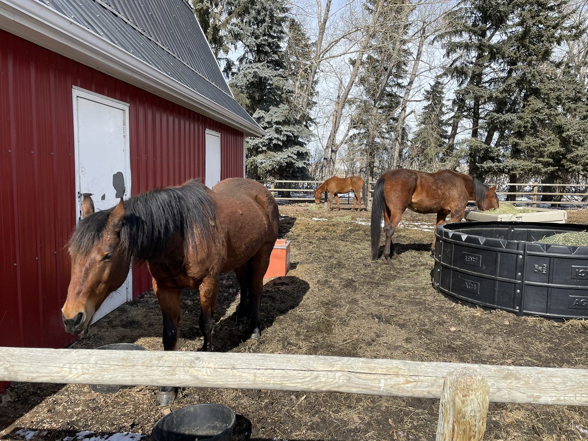 And then there were three…excited to be back in the saddle!